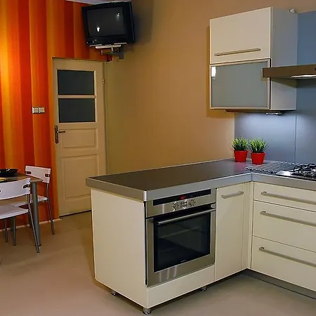 Spacious In The Heart Of קרקוב